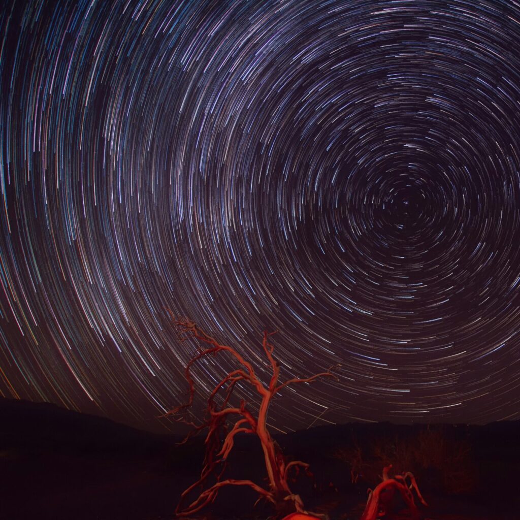 caleb-steele-5t1lUr0NmHI-unsplash