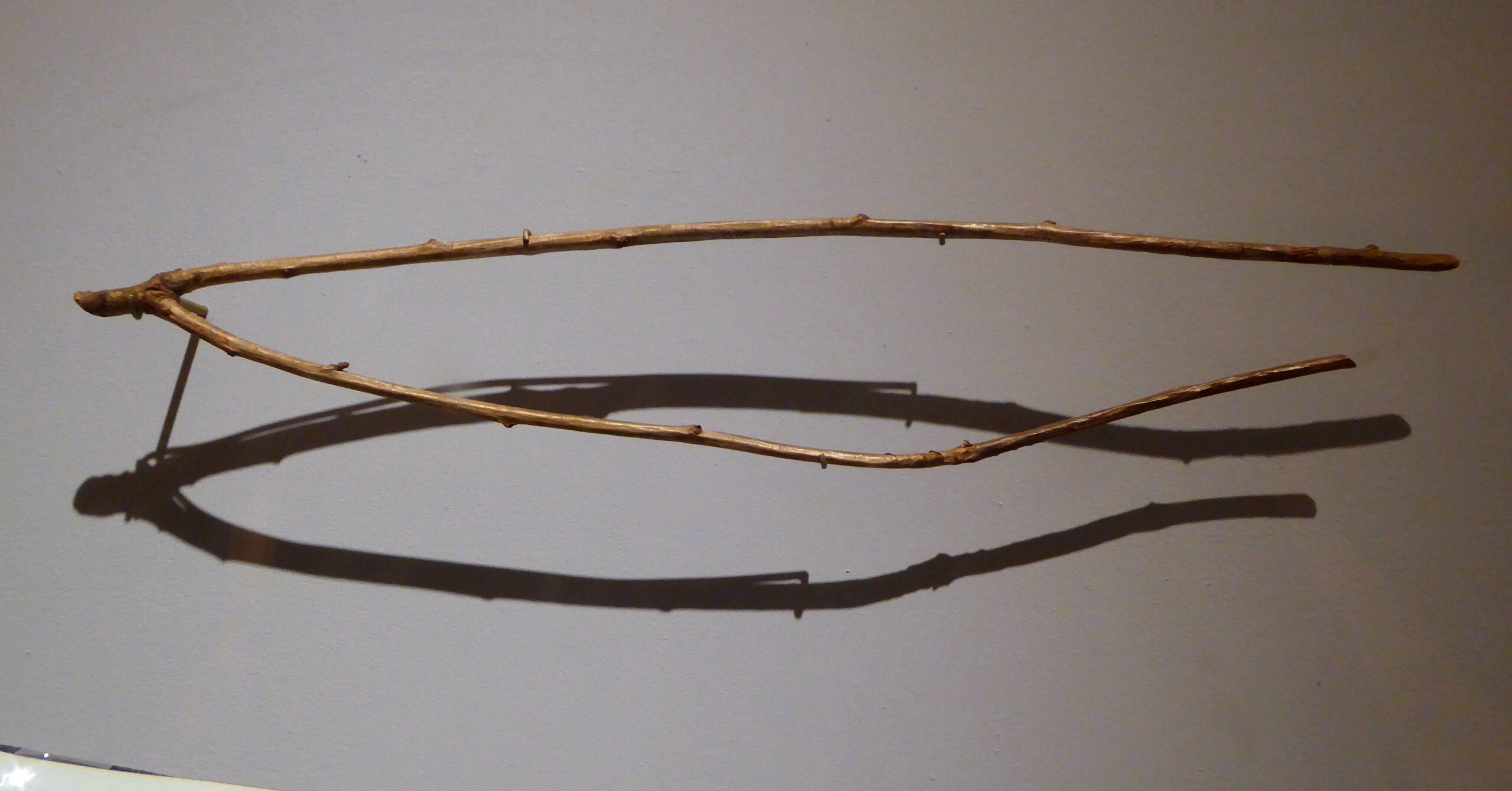 English_Hazel_Dowsing_Rod_in_the_Horniman_Museum
